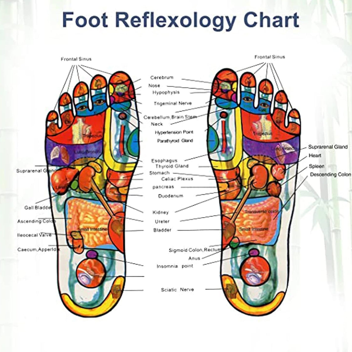Detox Foot Pads With Ginger Salt 10 Pcs Velvet Wellness