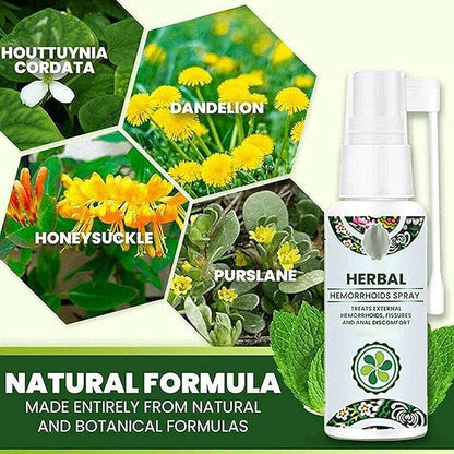 🌿✨  HEMORRHOID &amp; PILES CARE OIL | 1 BOTTLE | COMFORT-FOCUSED PERSONAL CARE OIL FOR EVERYDAY WELLNESS 💎